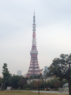 IMG_1141.JPG